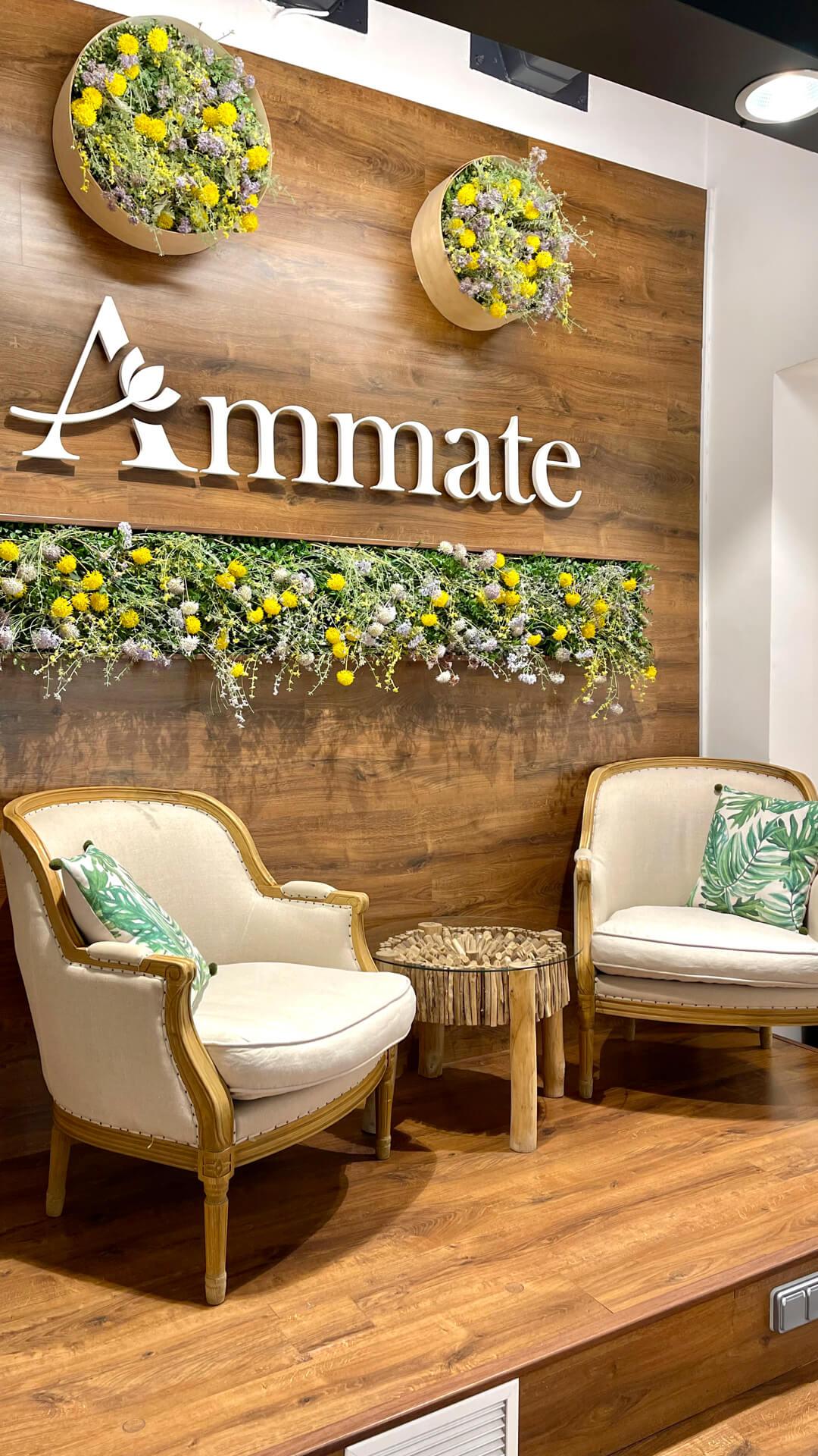 Ammate Salón 6